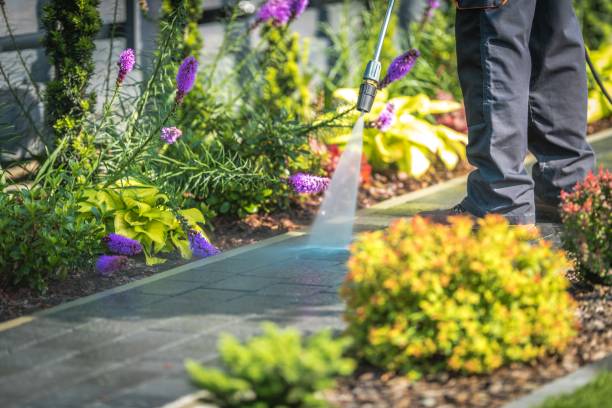 Best Pre-Holiday Cleaning  in Middletown, VA