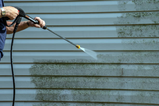 Best Gutter Cleaning  in Middletown, VA