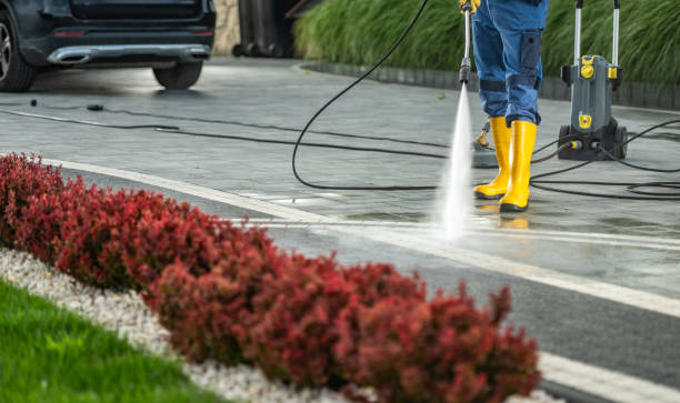 Best Sidewalk and Walkway Cleaning  in Middletown, VA